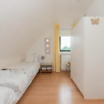 Ferienhaus Duynopgangh 25